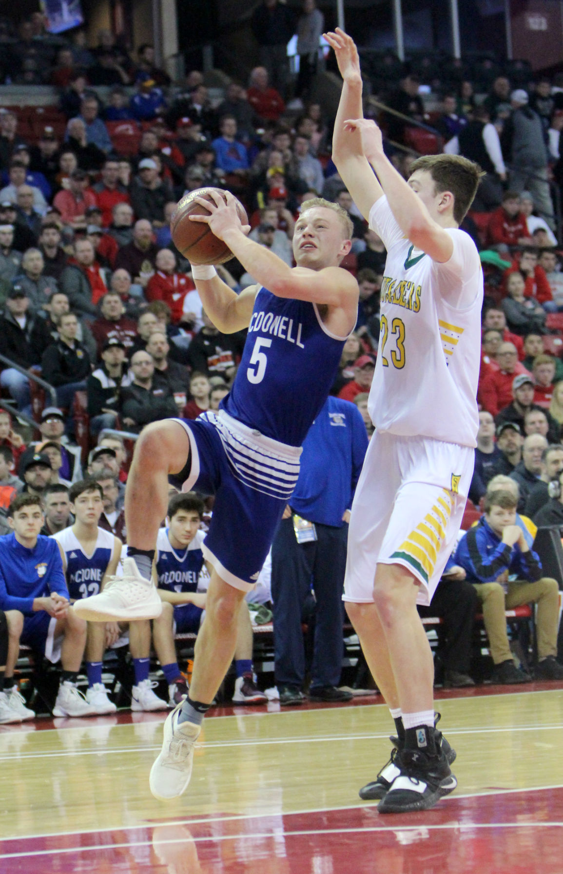 McDonell boys basketball vs Sheboygan Area Lutheran 3-15-19